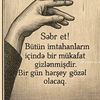 sensizem_059