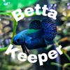 betta.keeping