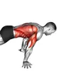Zone Workout