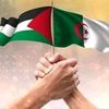 ahmad.dz244