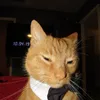 ttuttyvideos
