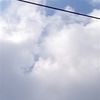 syareza.utama