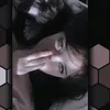 zz_nb67