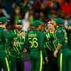 cricket.star092