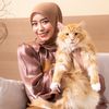 auroracat01