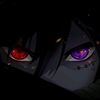 duun_zoo19