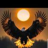 tajammal.shabbir5