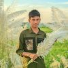 ex.faysal0
