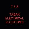 t.e.s.elecsolutio