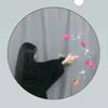 .raisakhan722