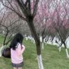 mshaks_noafyy