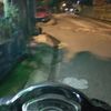 giahoang20001