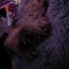 lily1p2