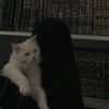 marwa.asaam