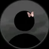 xanmy_alam135