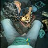 _faksi13_