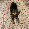 millie.crowther68