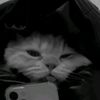 user1492202616118