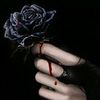 wiel_queen