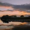 brucewalker881