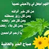 dmouaalward2