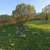 user661447660074
