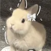 alicjcgvw7d