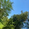 safialxxsyriaa