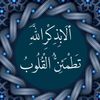 user3517735662253