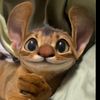 stitchy5629