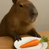Capybaritobañito