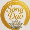 Âm Dương Song Đạo