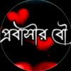arifhossain6398