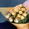 besdiep_s