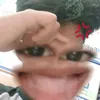 diosrey.delos.san