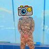 user1824861059651