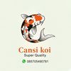 cansikoi