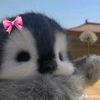hana_xxx2