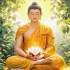 tamlinhviet.anlac