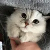 あめむぅ🥺🍼