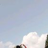vii_syaa