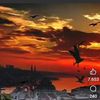 user7212319511832