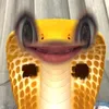 nwqli_1