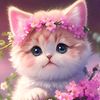 user6122613081630