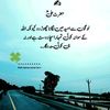 umairshaikh4260