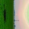 usman.ali.khokhar865