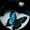 qqq364345gmailcom
