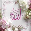 user010722765