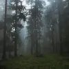 _3mpy_