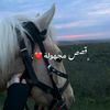 balqi.s_2011